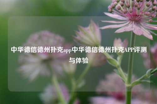 中华德信德州扑克app中华德信德州扑克APP评测与体验