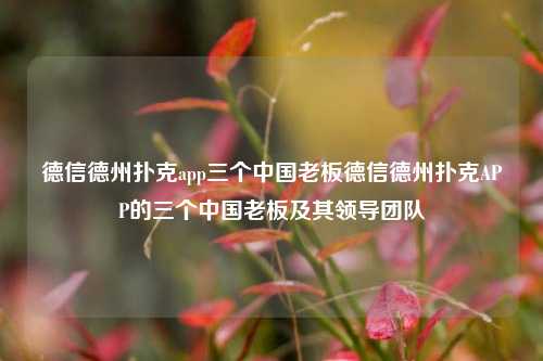 德信德州扑克app三个中国老板德信德州扑克APP的三个中国老板及其领导团队