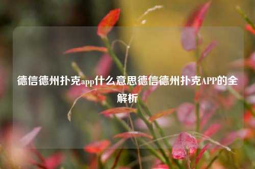 德信德州扑克app什么意思德信德州扑克APP的全解析