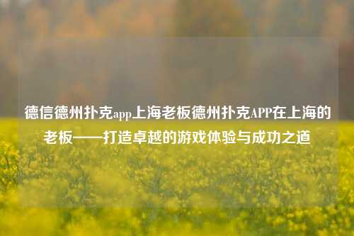 德信德州扑克app上海老板德州扑克APP在上海的老板——打造卓越的游戏体验与成功之道