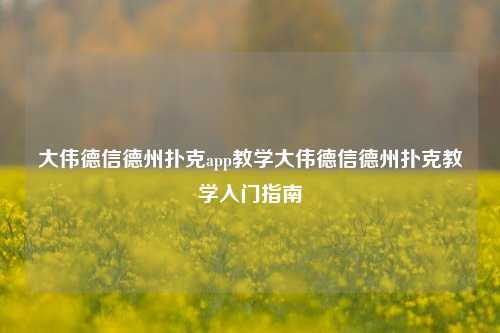 大伟德信德州扑克app教学大伟德信德州扑克教学入门指南
