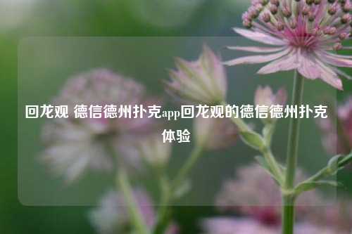 回龙观 德信德州扑克app回龙观的德信德州扑克体验