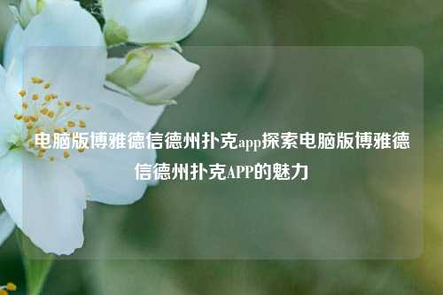 电脑版博雅德信德州扑克app探索电脑版博雅德信德州扑克APP的魅力