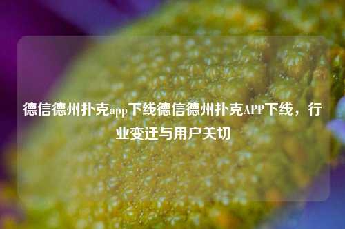 德信德州扑克app下线德信德州扑克APP下线，行业变迁与用户关切