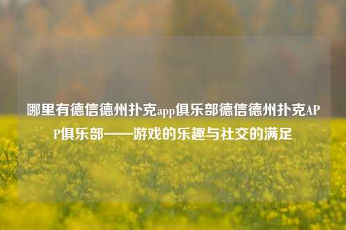 哪里有德信德州扑克app俱乐部德信德州扑克APP俱乐部——游戏的乐趣与社交的满足