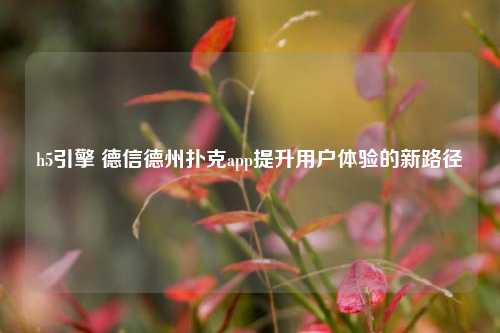 h5引擎 德信德州扑克app提升用户体验的新路径