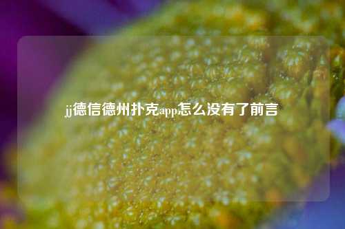 jj德信德州扑克app怎么没有了前言