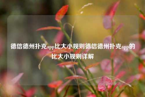德信德州扑克app比大小规则德信德州扑克app的比大小规则详解