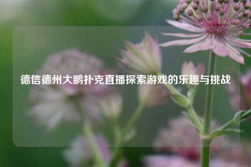 德信德州大鹏扑克直播探索游戏的乐趣与挑战