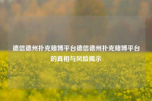 德信德州扑克赌博平台德信德州扑克赌博平台的真相与风险揭示