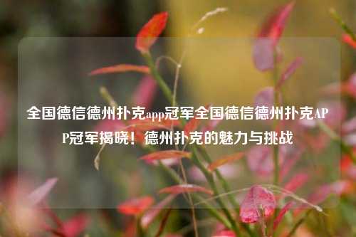 全国德信德州扑克app冠军全国德信德州扑克APP冠军揭晓！德州扑克的魅力与挑战