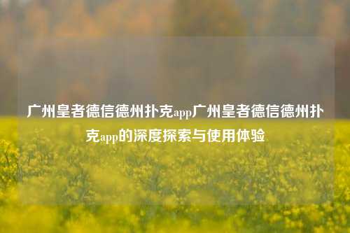 广州皇者德信德州扑克app广州皇者德信德州扑克app的深度探索与使用体验