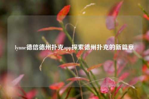 lynne德信德州扑克app探索德州扑克的新篇章