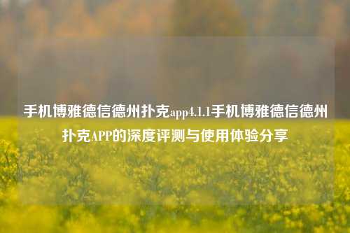 手机博雅德信德州扑克app4.1.1手机博雅德信德州扑克APP的深度评测与使用体验分享