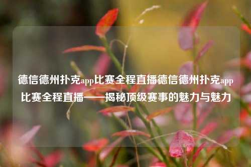 德信德州扑克app比赛全程直播德信德州扑克app比赛全程直播——揭秘顶级赛事的魅力与魅力