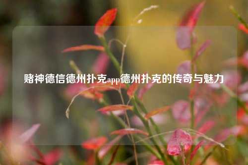 赌神德信德州扑克app德州扑克的传奇与魅力