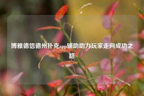 博雅德信德州扑克app辅助助力玩家走向成功之路