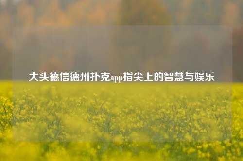大头德信德州扑克app指尖上的智慧与娱乐