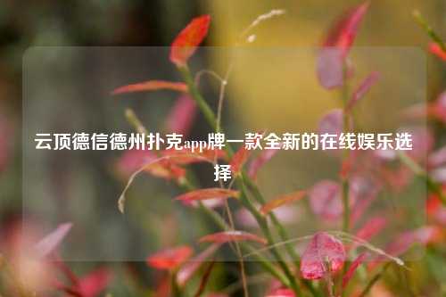 云顶德信德州扑克app牌一款全新的在线娱乐选择