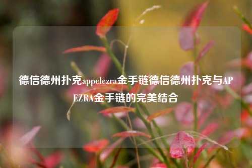 德信德州扑克appelezra金手链德信德州扑克与APEZRA金手链的完美结合