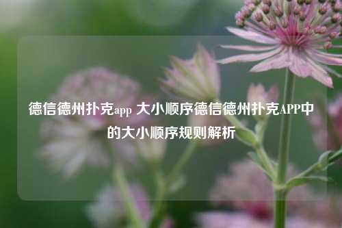 德信德州扑克app 大小顺序德信德州扑克APP中的大小顺序规则解析