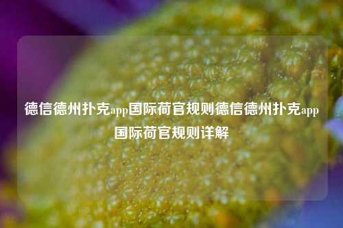 德信德州扑克app国际荷官规则德信德州扑克app国际荷官规则详解