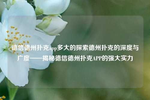 德信德州扑克app多大的探索德州扑克的深度与广度——揭秘德信德州扑克APP的强大实力