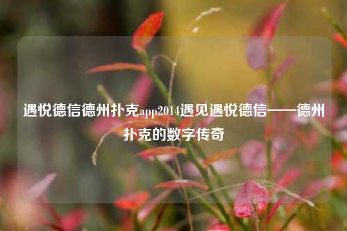 遇悦德信德州扑克app2014遇见遇悦德信——德州扑克的数字传奇