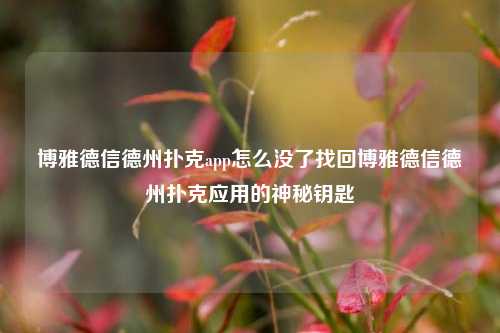 博雅德信德州扑克app怎么没了找回博雅德信德州扑克应用的神秘钥匙