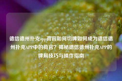 德信德州扑克app荷官如何切牌如何成为德信德州扑克APP中的荷官？揭秘德信德州扑克APP的牌局技巧与操作指南