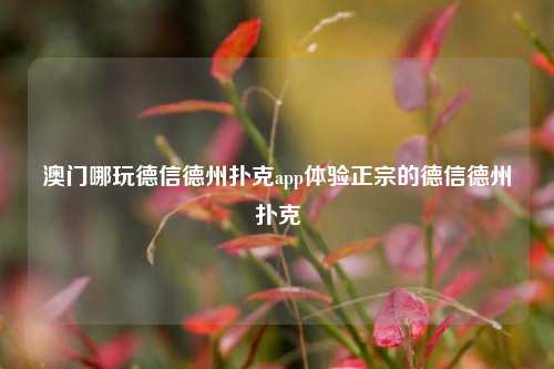 澳门哪玩德信德州扑克app体验正宗的德信德州扑克