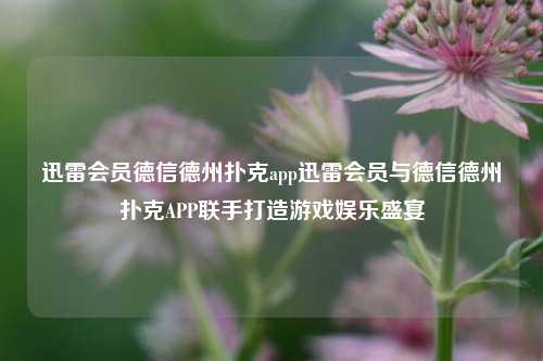 迅雷会员德信德州扑克app迅雷会员与德信德州扑克APP联手打造游戏娱乐盛宴