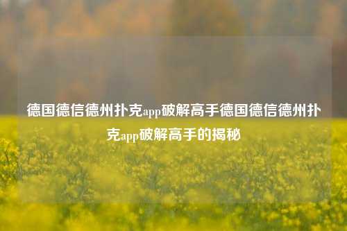 德国德信德州扑克app破解高手德国德信德州扑克app破解高手的揭秘