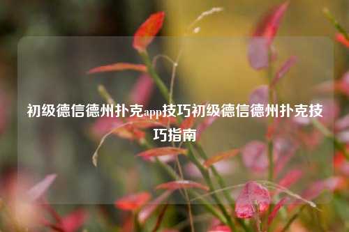 初级德信德州扑克app技巧初级德信德州扑克技巧指南