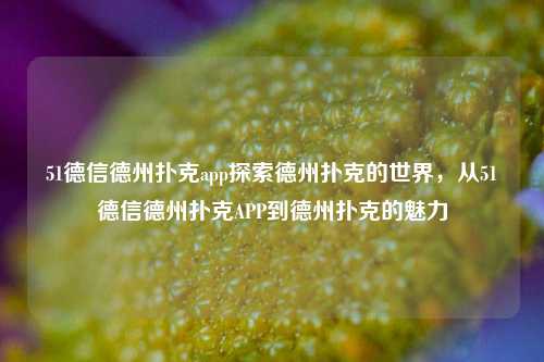 51德信德州扑克app探索德州扑克的世界，从51德信德州扑克APP到德州扑克的魅力