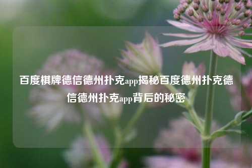 百度棋牌德信德州扑克app揭秘百度德州扑克德信德州扑克app背后的秘密