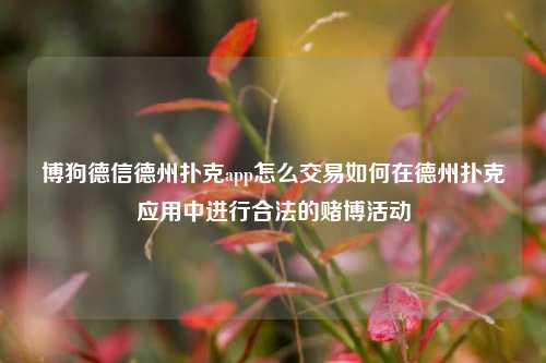 博狗德信德州扑克app怎么交易如何在德州扑克应用中进行合法的赌博活动