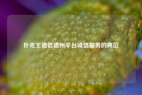扑克王德信德州平台诚信服务的典范