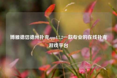 博雅德信德州扑克app4.7.2一款专业的在线扑克游戏平台