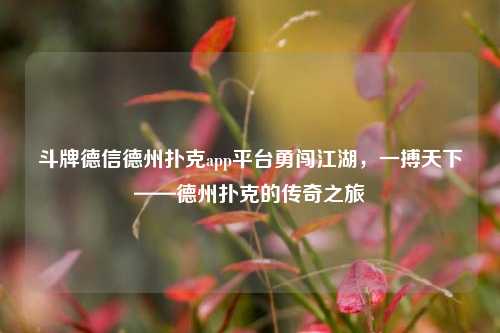 斗牌德信德州扑克app平台勇闯江湖，一搏天下——德州扑克的传奇之旅
