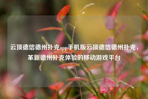 云顶德信德州扑克app手机版云顶德信德州扑克，革新德州扑克体验的移动游戏平台