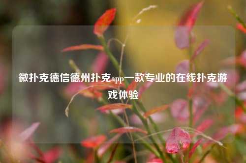 微扑克德信德州扑克app一款专业的在线扑克游戏体验