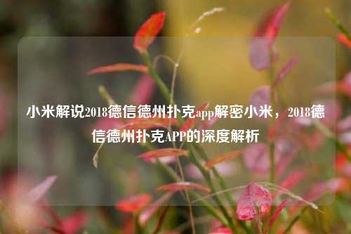 小米解说2018德信德州扑克app解密小米，2018德信德州扑克APP的深度解析
