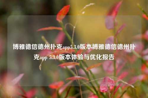 博雅德信德州扑克app5.3.0版本博雅德信德州扑克app 5.3.0版本体验与优化报告