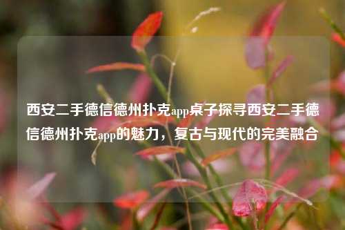 西安二手德信德州扑克app桌子探寻西安二手德信德州扑克app的魅力，复古与现代的完美融合