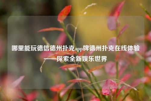 哪里能玩德信德州扑克app牌德州扑克在线体验——探索全新娱乐世界