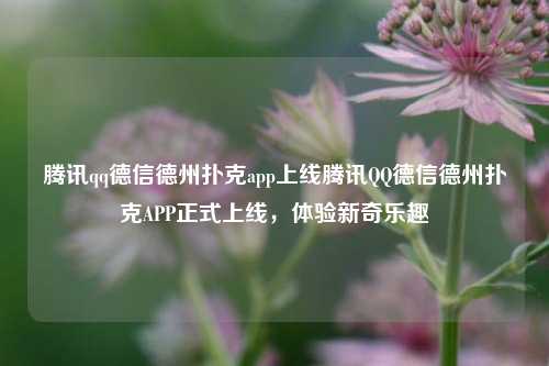 腾讯qq德信德州扑克app上线腾讯QQ德信德州扑克APP正式上线，体验新奇乐趣