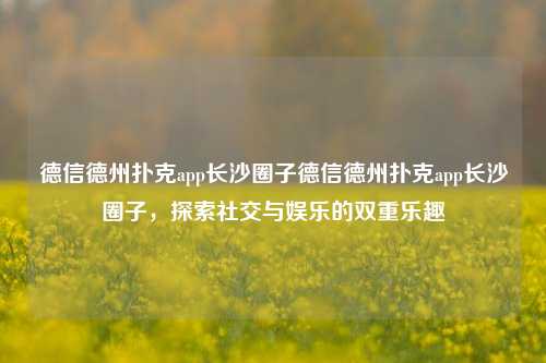 德信德州扑克app长沙圈子德信德州扑克app长沙圈子，探索社交与娱乐的双重乐趣