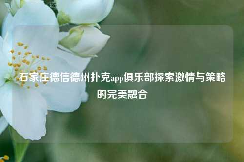 石家庄德信德州扑克app俱乐部探索激情与策略的完美融合