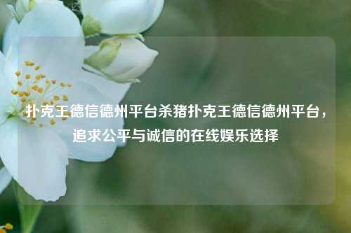 扑克王德信德州平台杀猪扑克王德信德州平台，追求公平与诚信的在线娱乐选择
